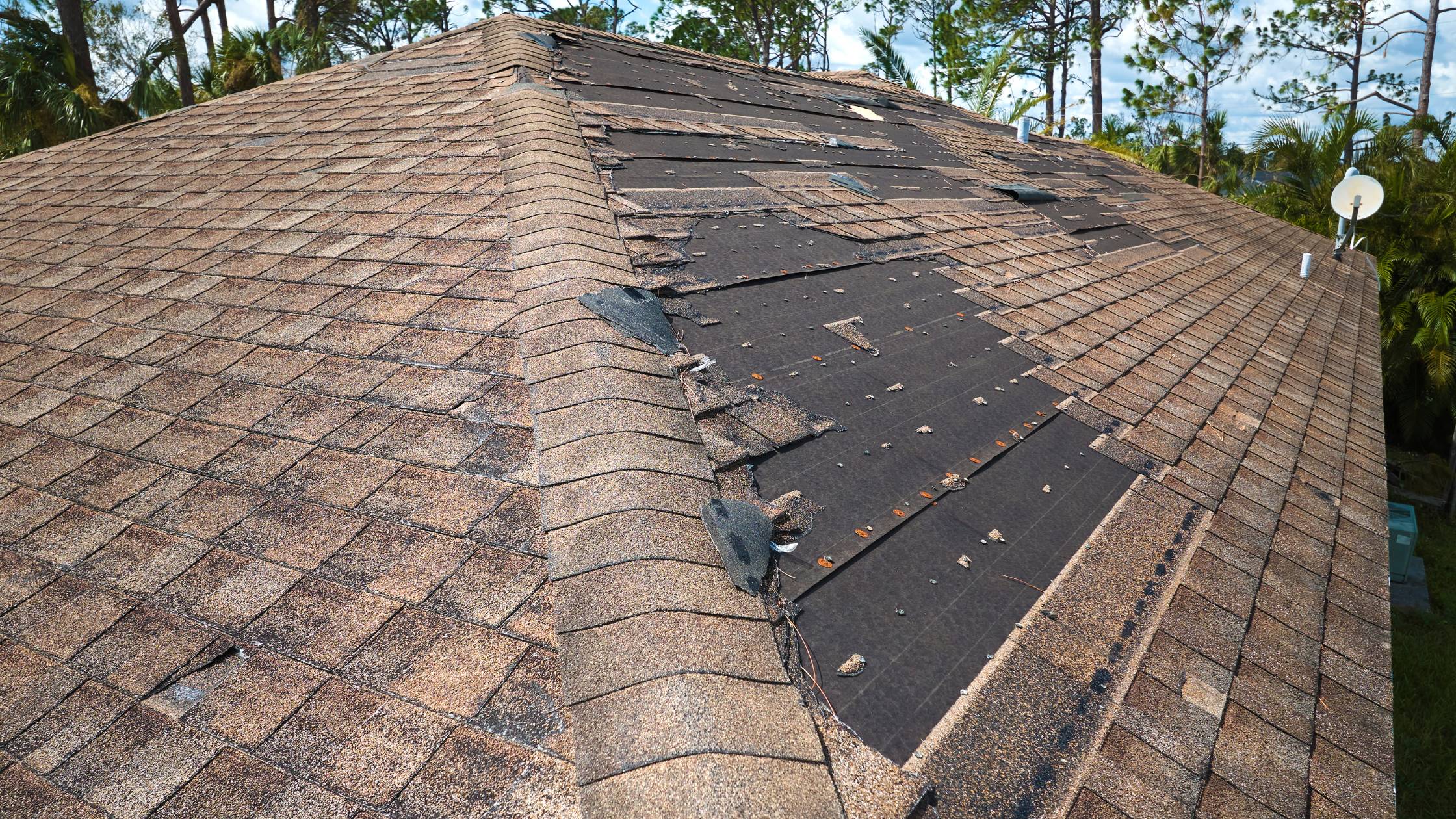 Shinglesmiths roofing inspecting a storm damaged roof in Lewisburg tennessee